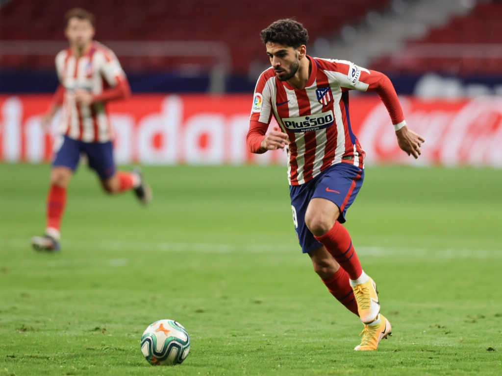 示了他在内 示了他在内