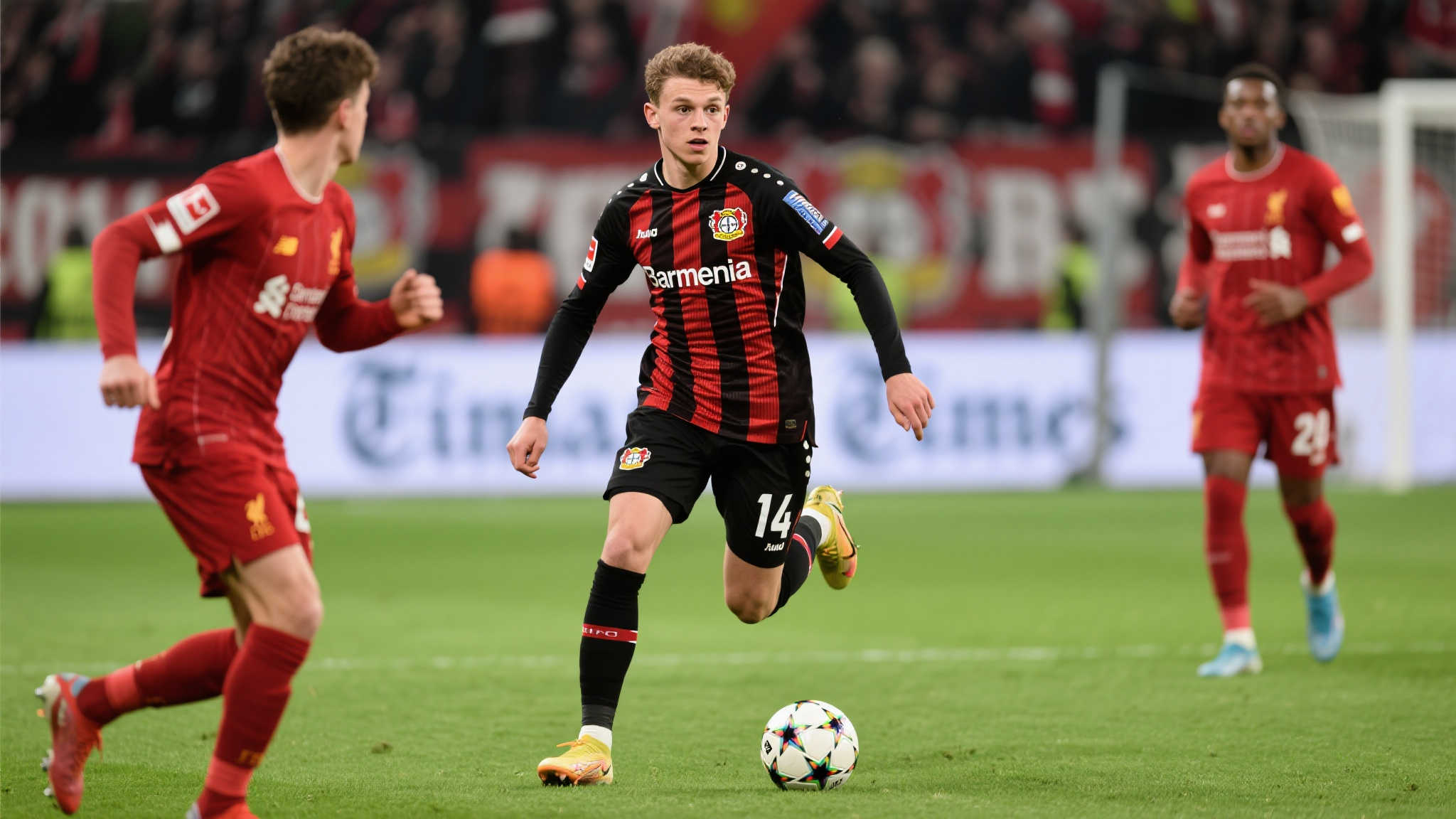 了数以百万 了数以百万