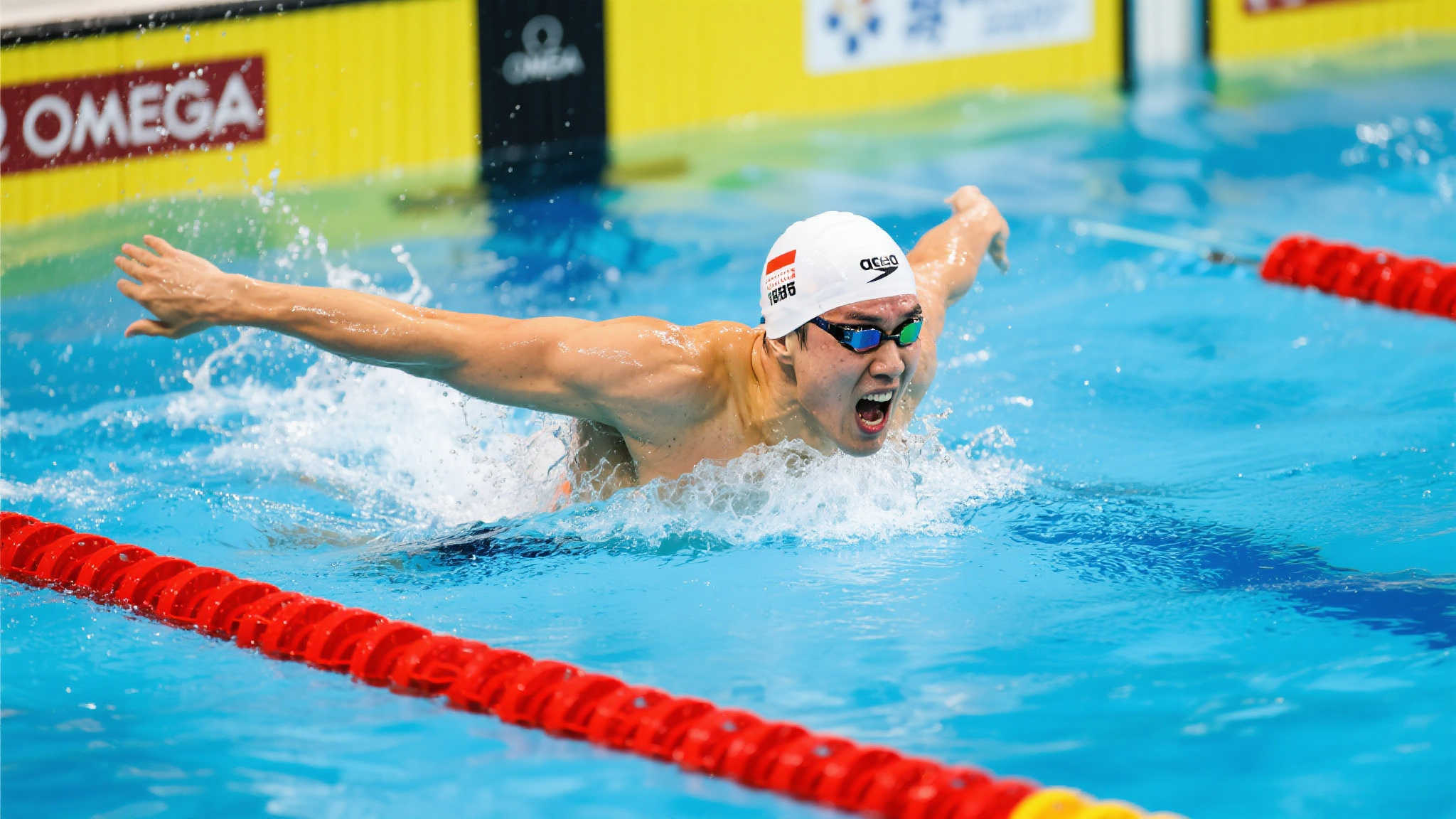 的欧冠赛事 的欧冠赛事