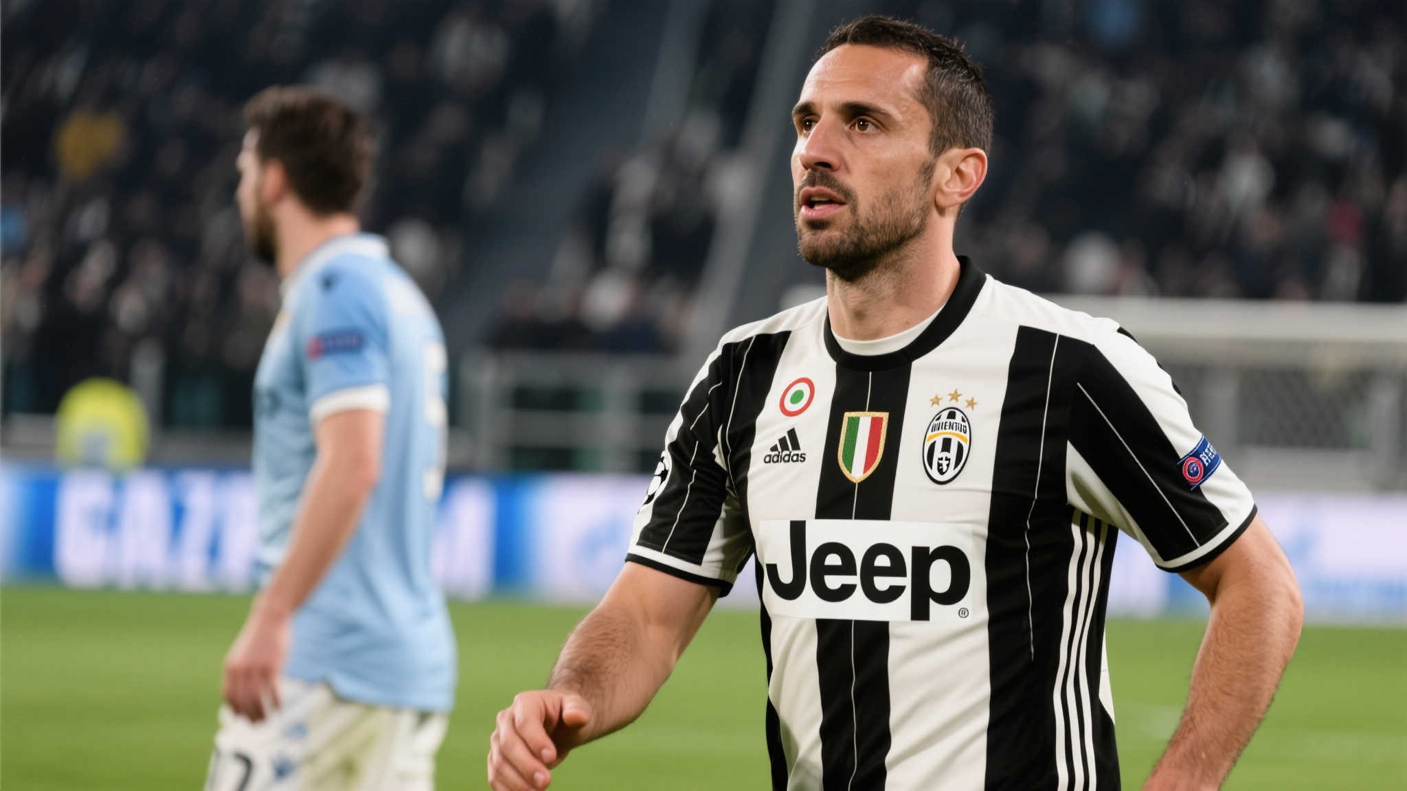 新皇冠体育介绍